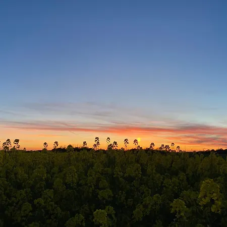 Διαμέρισμα Gaardensminde